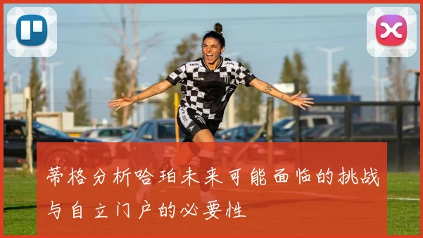蒂格分析哈珀未来可能面临的挑战与自立门户的必要性